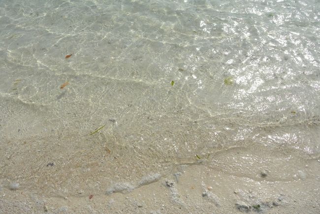 水の透明度も違うよ〜