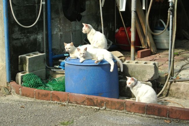 展望台から<br />駐車場へ戻る途中、<br />見〜つけたっ♪<br /><br />