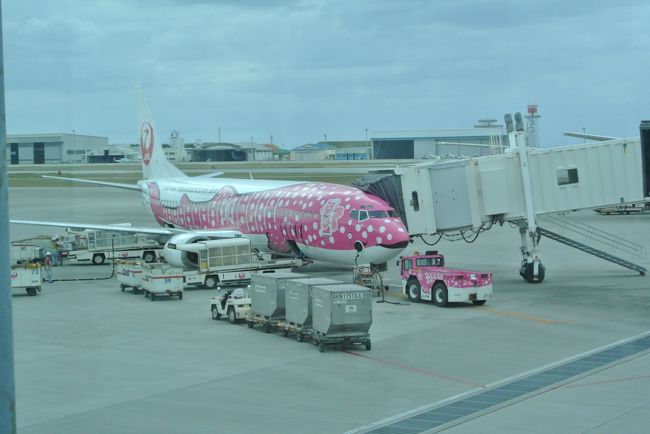 那覇空港の<br />駐機場に<br />またまたジンベエさん☆<br /><br />ピンクの機体は<br />さくらジンベエさんだそうです。<br /><br />JTAと美ら海水族館とのコラボ企画なんですって。<br /><br />カワイイ〜(*^_^*)