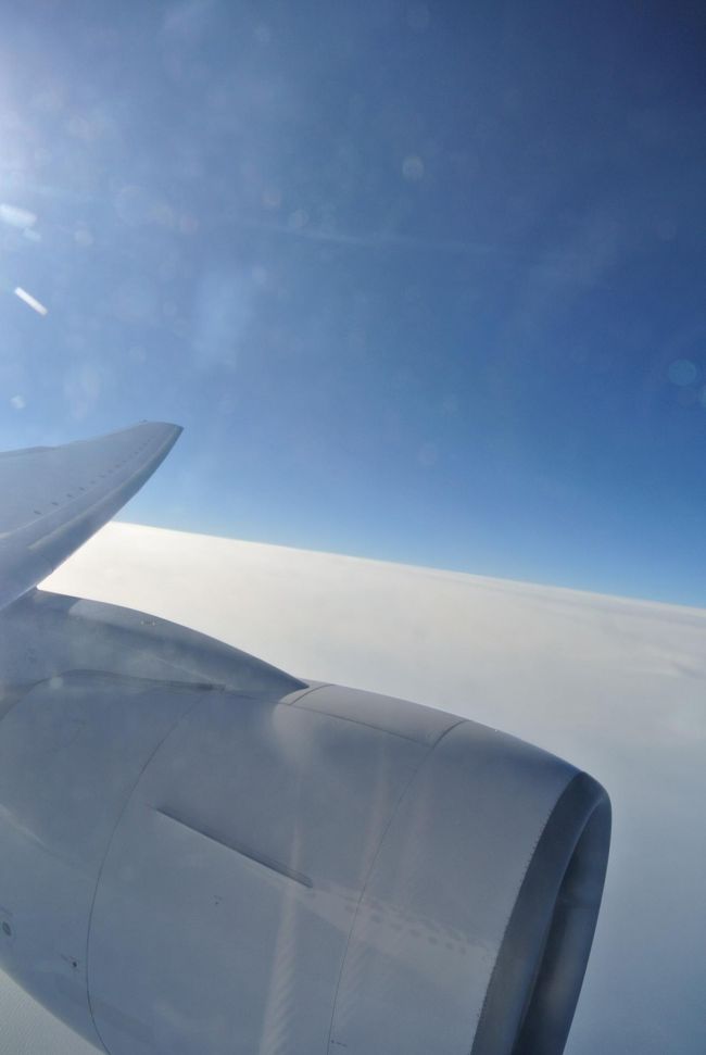 <br />大雪予報から始まり、<br />どうなることかと思いましたが<br /><br />あったかい石垣島＆竹富島で<br />癒されたステキな旅でした☆(*^▽^*)<br /><br />次はどこへ行こうかな〜？<br /><br /><br />〜最後までご覧いただきまして<br />　ありがとうございました〜