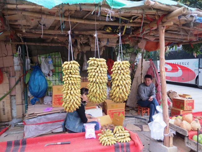 分岐地点の果物屋さんは健在です。<br /><br />今日は大量のバナナが吊るされています。