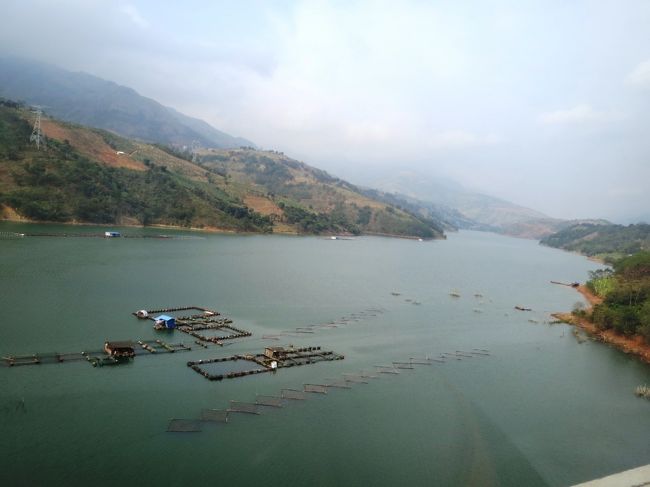 河の中には魚の養殖場もあります。