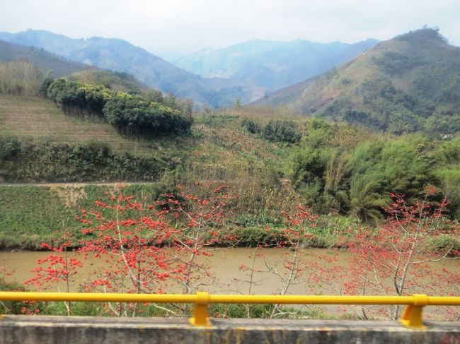 高速道路脇には「攀枝花」の赤い花や、