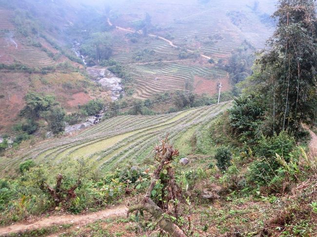途中の段々畑の風景も同じです。