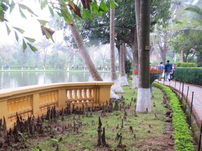 池の周りの道には、木の根っこが顔を出していてこちらでは仏様と呼ばれているらしい。