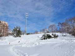 そしてすぐ裏手にある平岸高台公園へ。

おぉ…オープニングとエンディングの撮影地！！！
左側では子供達がソリ滑り、右側ではスノーボード…
なんて羨ましい環境( - ω - ｡)いいなー