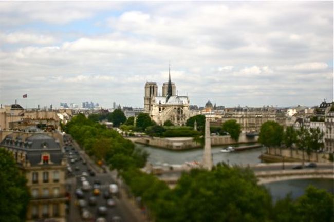 ノートルダム大聖堂が見えます。