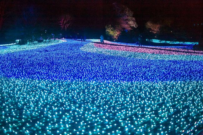 "What a beautiful scene!" We spoke out while seeing this.