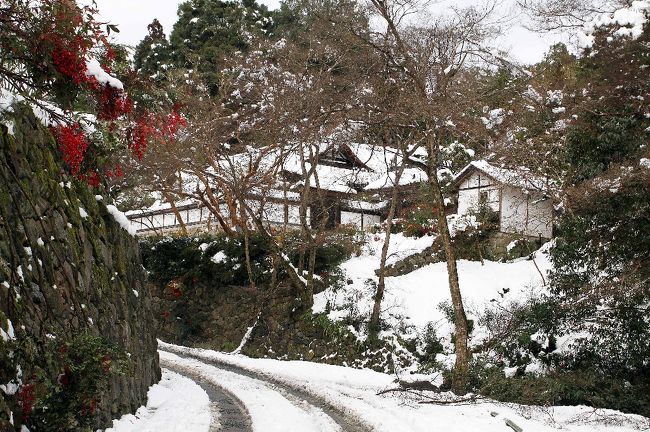 これよこれよ。夢に見た雪の正暦寺