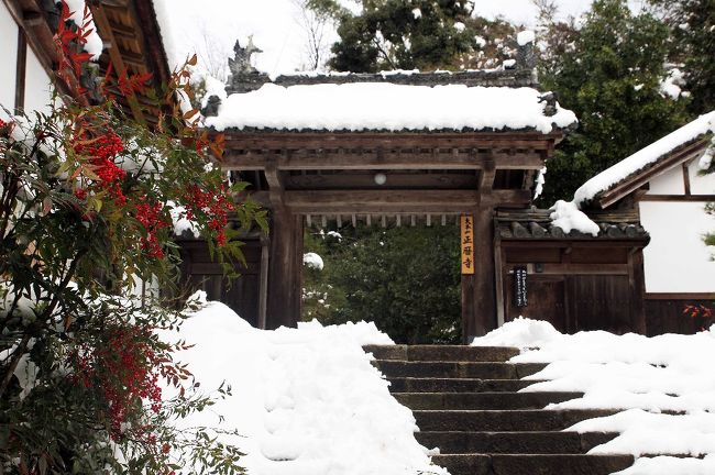 ええ門構え。古風なところがいいです。