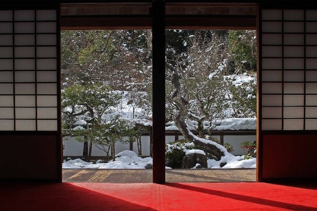 これやーこれを見にきた。満足。前回見たときから雪の日を狙っていました。