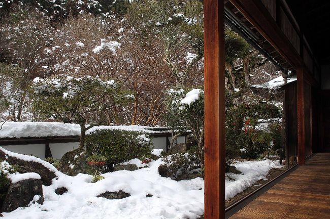 雪の庭をしみじみ見る