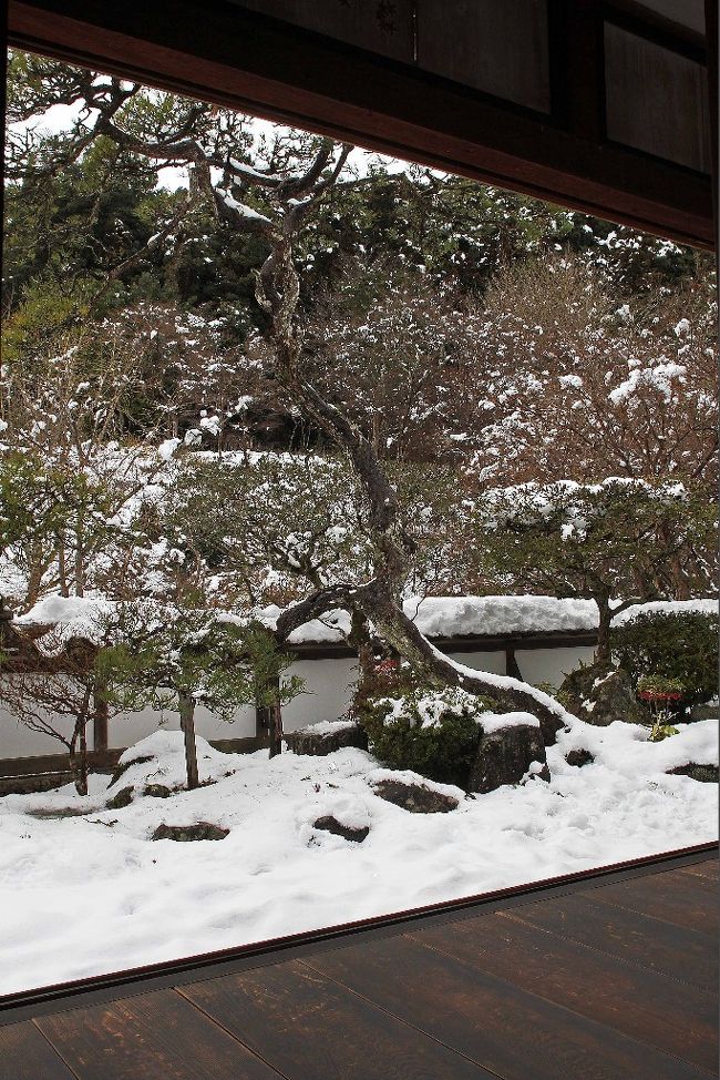 雪のないときより素晴しい