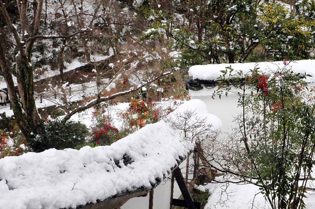 前回の正暦寺と比較してください。