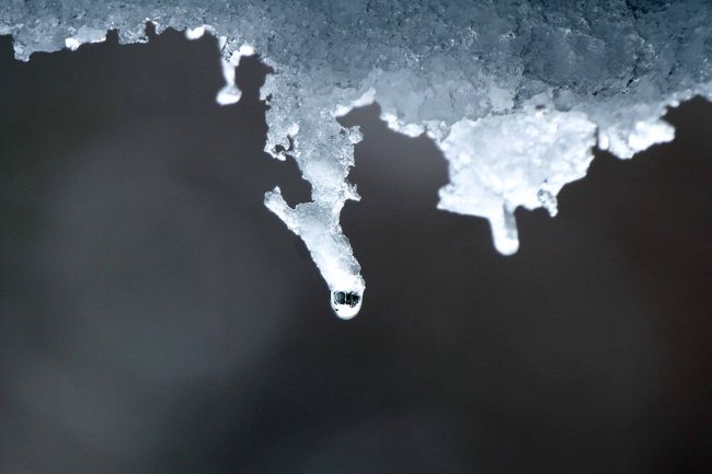 水滴の中に庭園が