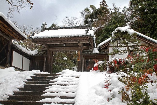 この角度も良いです。雪は日本に合う。奈良に雪。天に感謝。