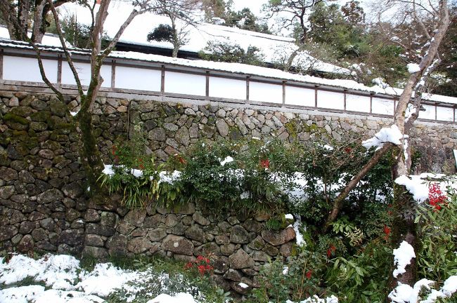 外から壁を見る