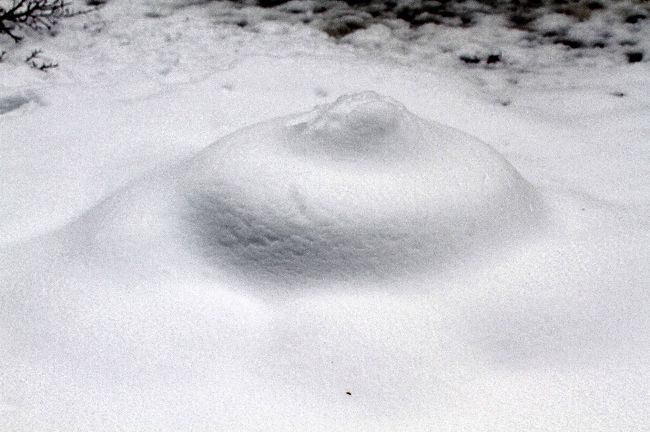 柱の土台の址もこんもりと