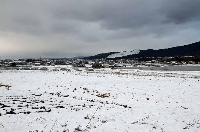 白いランドマークは若草山。