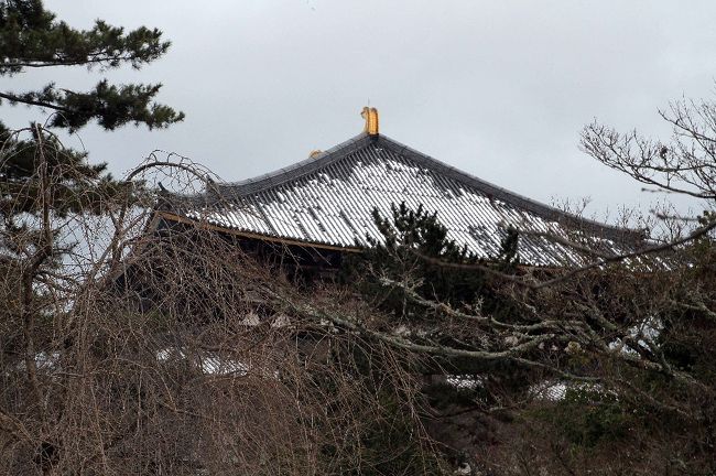 次は雪振る東大寺に来たい。
