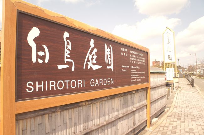 ついたー！「白鳥庭園」<br /><br />白鳥という地名は、日本武尊が死後白鳥になって飛び去ったことが由来らしいですよ<br /><br />白鳥庭園は、平成3年にできた日本庭園。