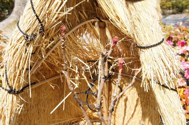 守られております