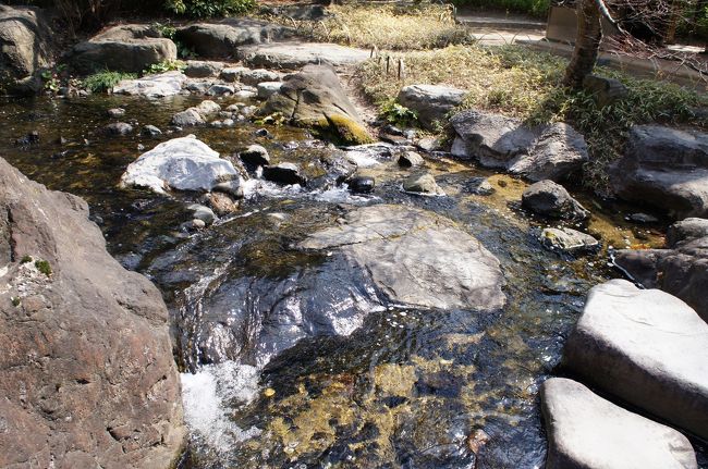水の流れをじっと見る