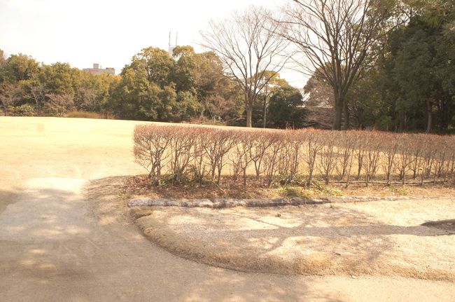 こんな普通の芝生ゾーンもあったり