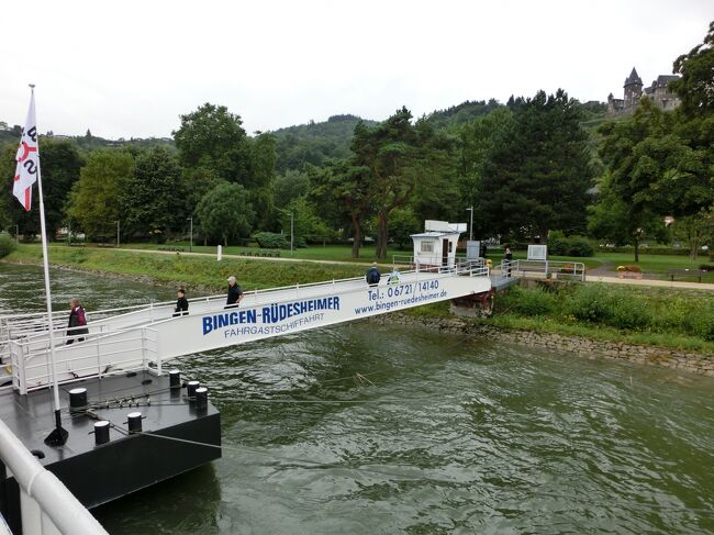 シャイな彼が<br />手持ち無沙汰な様子で<br />ぶらぶらしています。