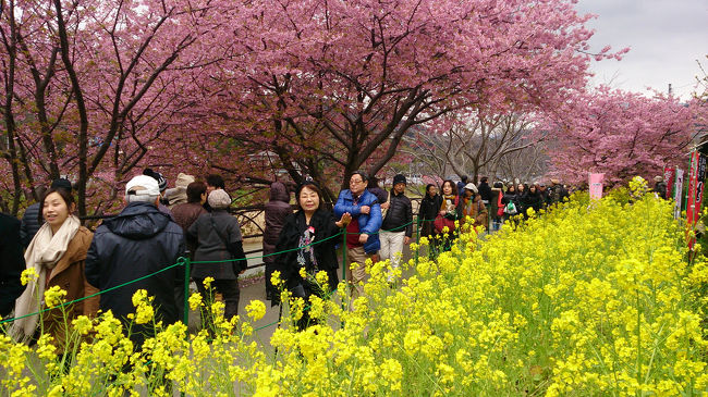 それにしても…たくさんの人、ひと、人。
