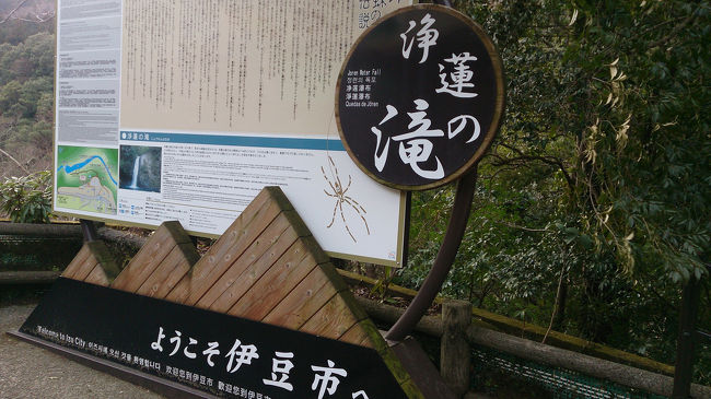 バスを走らせ、「浄蓮の滝」へ♪<br />(散策：50分)