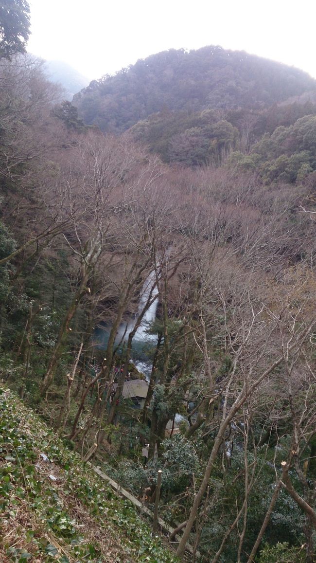 滝まで階段を降ります。<br />行きはよいよい、帰りは昇りの階段、キツイ…