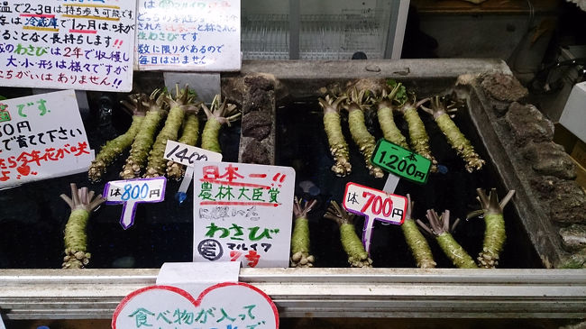 わさび、売ってます。