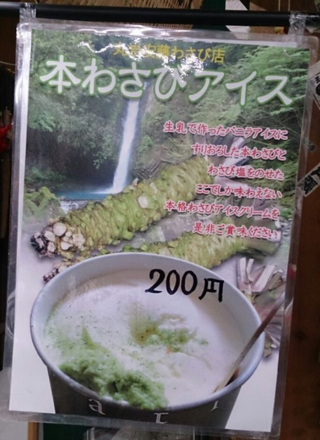 駐車場回りの売店では「わさびソフトクリーム」は数ヶ所で売っていますが、この「本わさびアイス」は滝まで降りて行かないと売っていません！