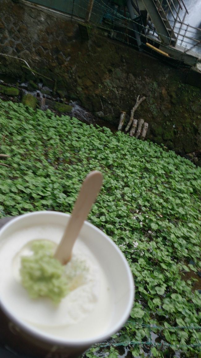 本わさびの風味とアイスの甘さがベストマッチ☆<br /><br />クセになります♪