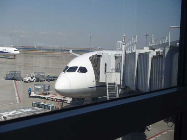 ７８７でんな。