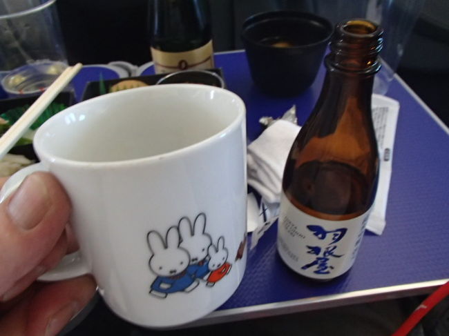 ミッション・コンプリート。・・うふ！<br /><br />あんたいつまで見てんのよ！・・・シラフじゃ出来んと。