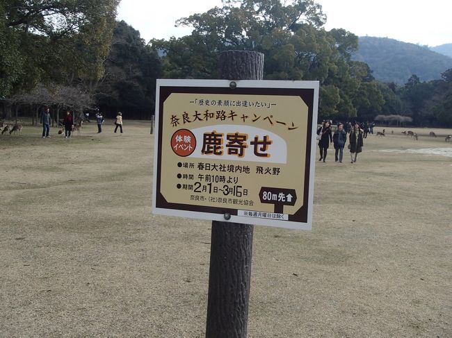 鹿寄せ？１０時から。<br /><br />要は鹿集めて餌上げるんですと、お好きに。