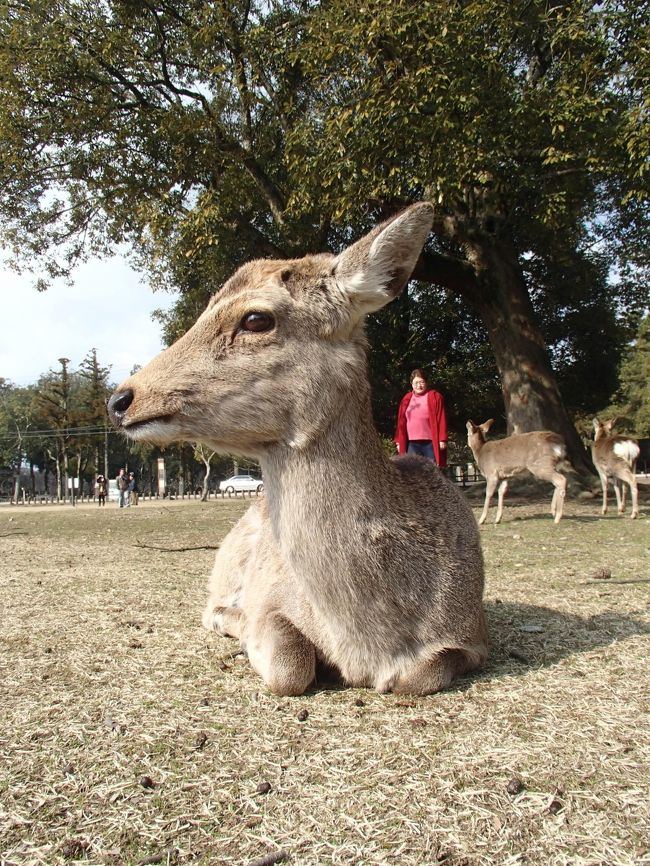 ローアンブルで