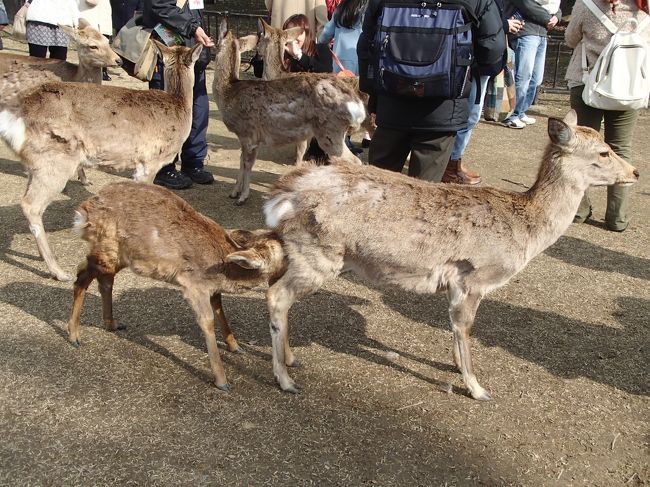 乳飲み子？・・・裏山ザンス！