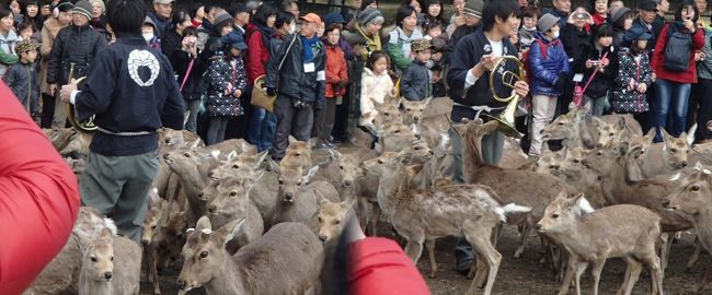 パノラマバージョン・・・アハハ！<br />なってね〜し。