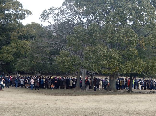 いつの間にか大混雑。