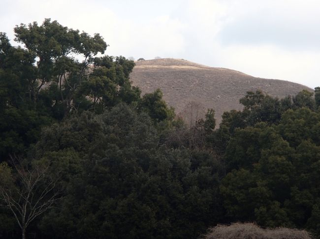 若草山、野焼き後。　寒そうでんな！<br />ムロちゃんみたいに。