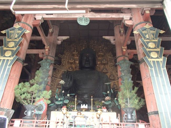 せっかくなんで