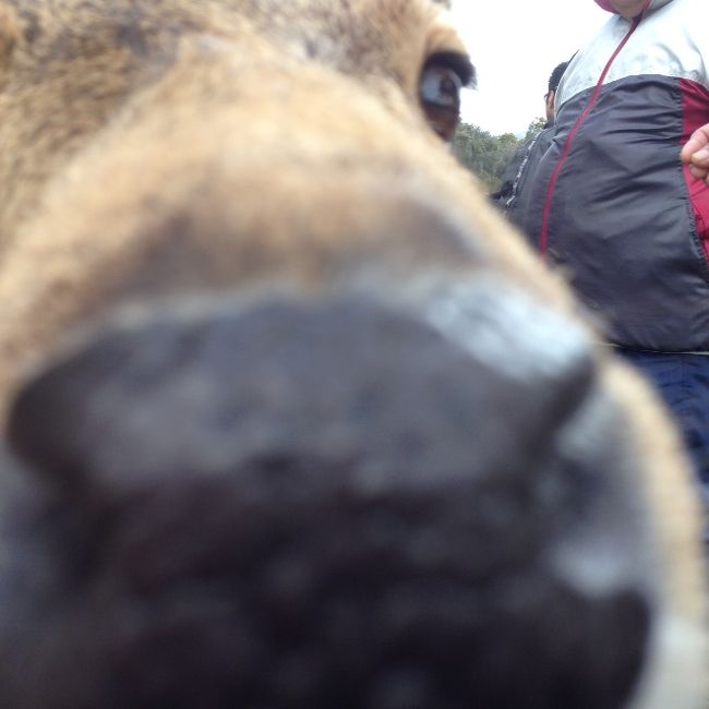 近け〜シ！・・ちょい口臭も（爆）