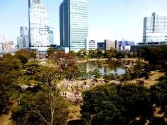 御徒町から京浜東北線の快速で浜松町に出る。

本当は新橋で降りたかったのですが、快速は新橋飛ばしをしたので（笑）

浜松町から浜離宮に向う途中に高い場所から見る事が出来る芝離宮。
ちょっと観てみると「梅が咲いてるよ」なんて。
春っぽい雰囲気に酔いしれるオッサン二人でした。