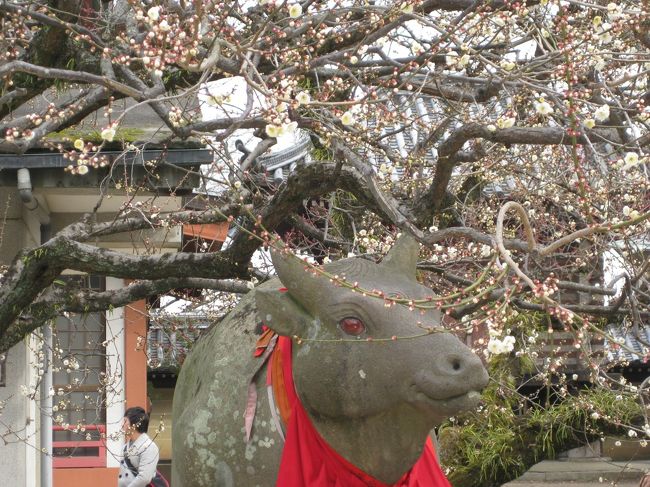 赤いよだれかけをした牛が数頭いて微笑ましい。このよだれかけには、合格祈願など願い事が書いてある。