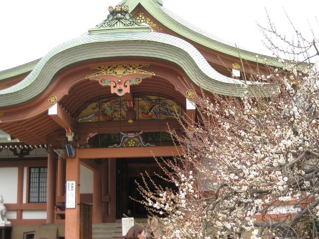 梅花祭は昨日（2/25）で芸妓さんなど綺麗どころが野点を披露したらしい。豊臣秀吉の北野の大茶会を記念したものだが、野点の拝服には何やかやで１５００円もかかるそう。見物はしたかったな。