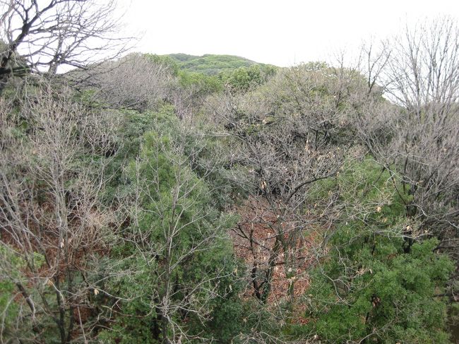 天王寺駅よりJR線にて仁徳天皇陵に向かう。下車駅は三国ヶ丘で関西空港行きの快速で3駅目１０分、２１０円と安い。