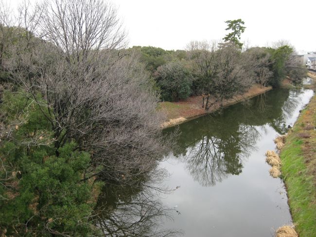広大な敷地で１周するにも1時間以上かかる。堀は三重になっているというが見えているのは2番目の堀。目の前で大きな鯉が空中高く飛び上がった。水は流れなくよどんでいて汚い。酸欠なのだろうか。